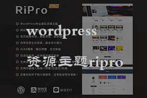 wordpress资源类主题ripro