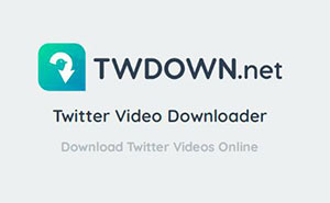 twdown_twitter推特视频下载在线工具