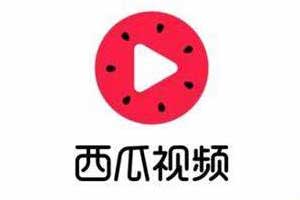 西瓜视频 去广告
