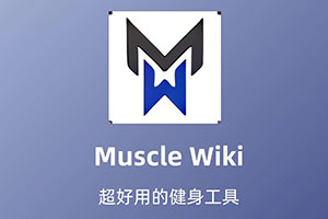 MuscleWiki是专业的健身指导工具，免费在线健身教程，一个专注于肌肉训练的网站