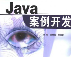 Java案例开发