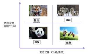 产品差异化竞争的 5 个建议