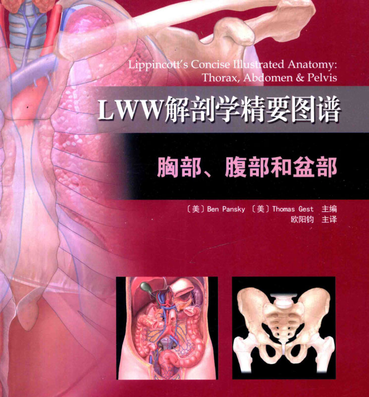 LWW解剖学精要图谱-- 胸部、腹部和盆部